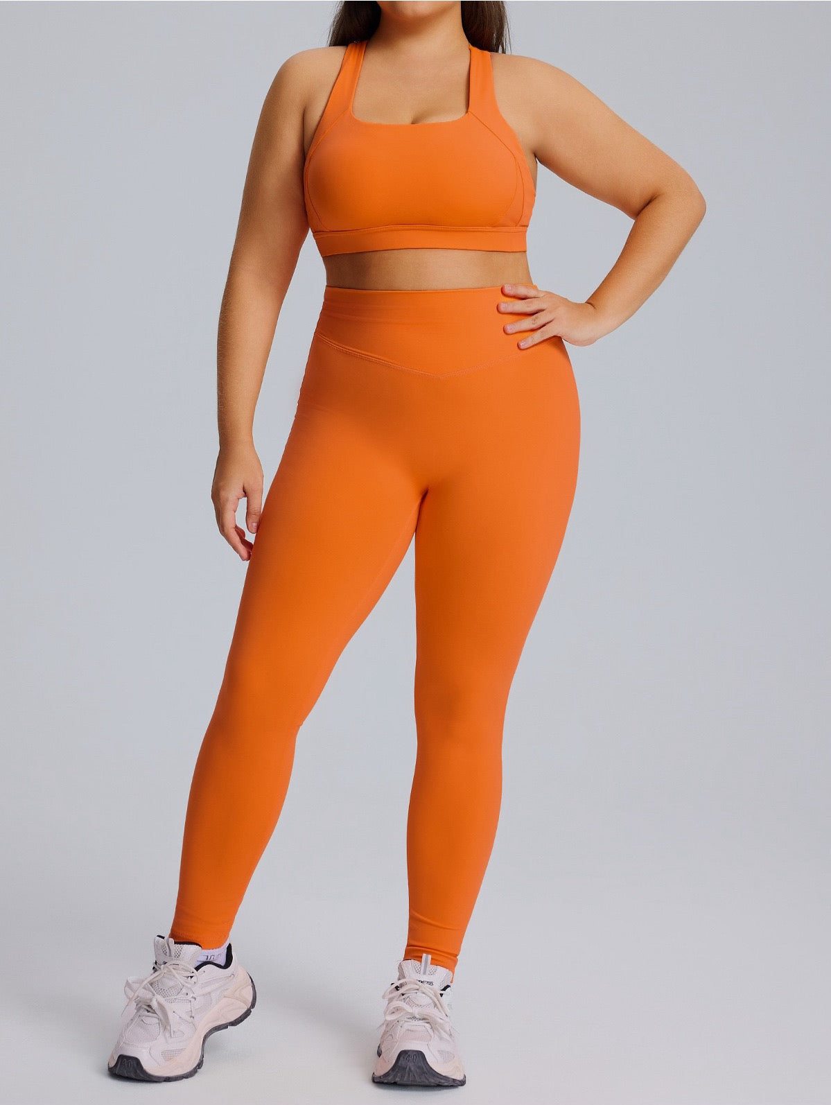 high rise plus size tights bright colour